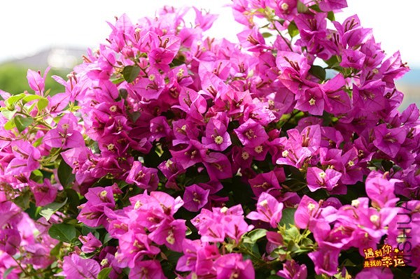 ��Ƭ 025_����.jpg