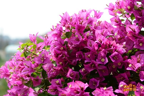 ��Ƭ 027_����.jpg