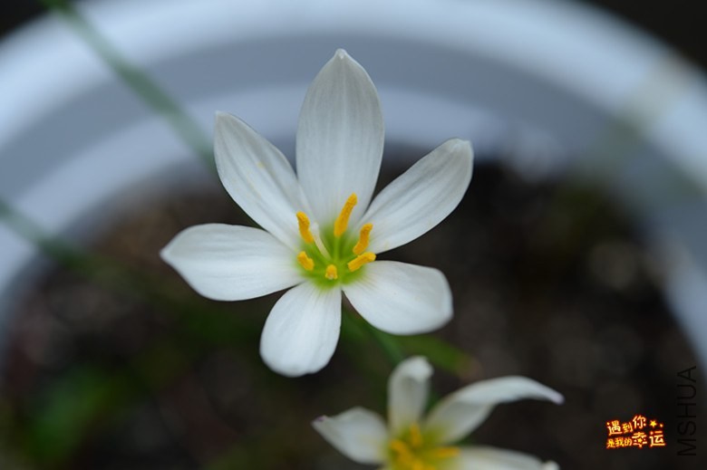 ��Ƭ 108_����.jpg