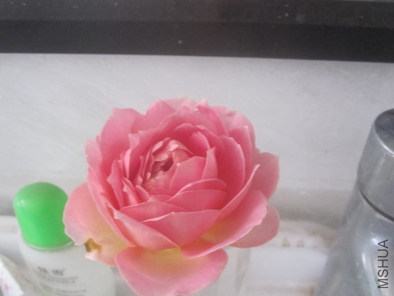 ��Ƭ 025_����.jpg