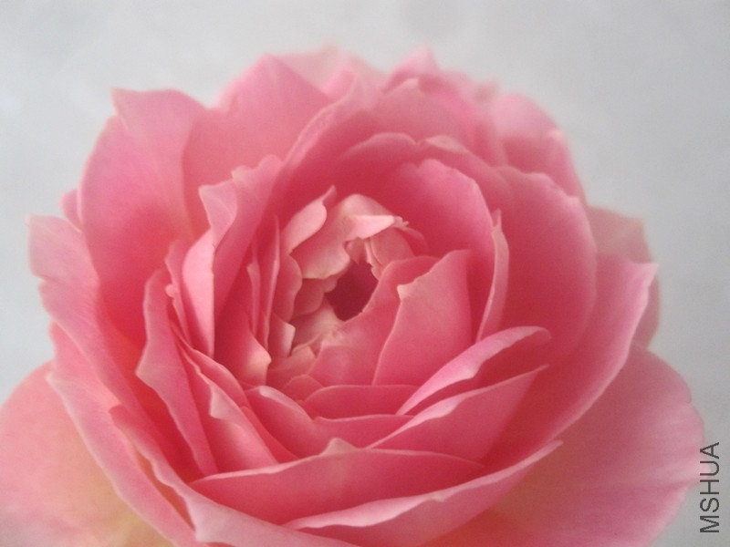 ��Ƭ 026_����.jpg