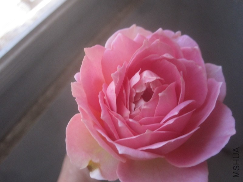 ��Ƭ 027_����.jpg