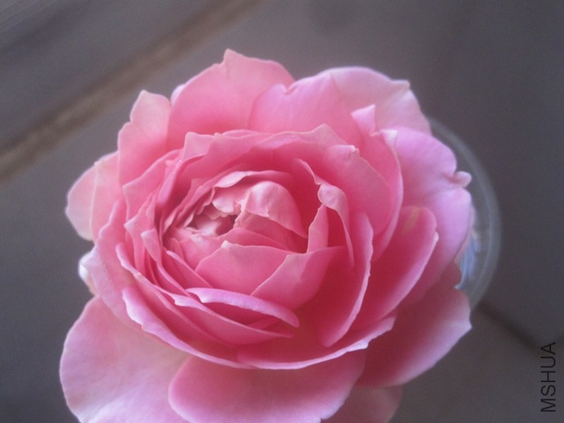 ��Ƭ 029_����.jpg