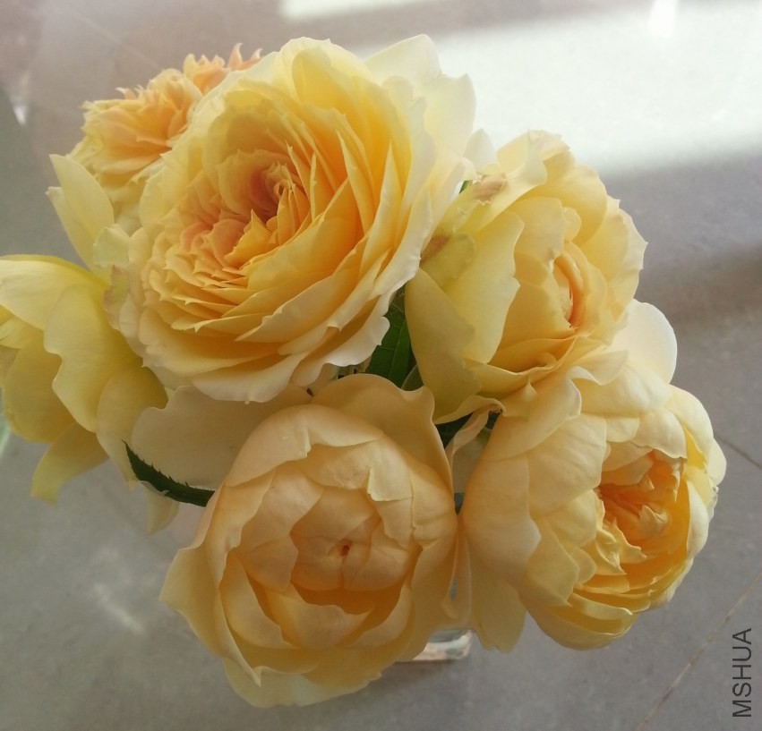20131004_152311-n.jpg
