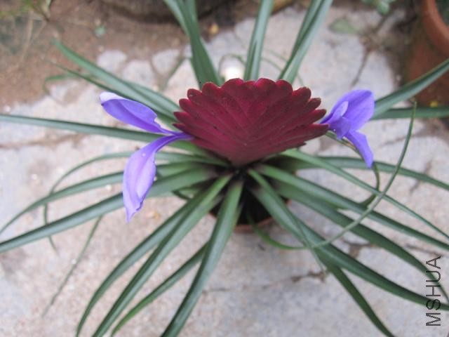 ��Ƭ 008.jpg