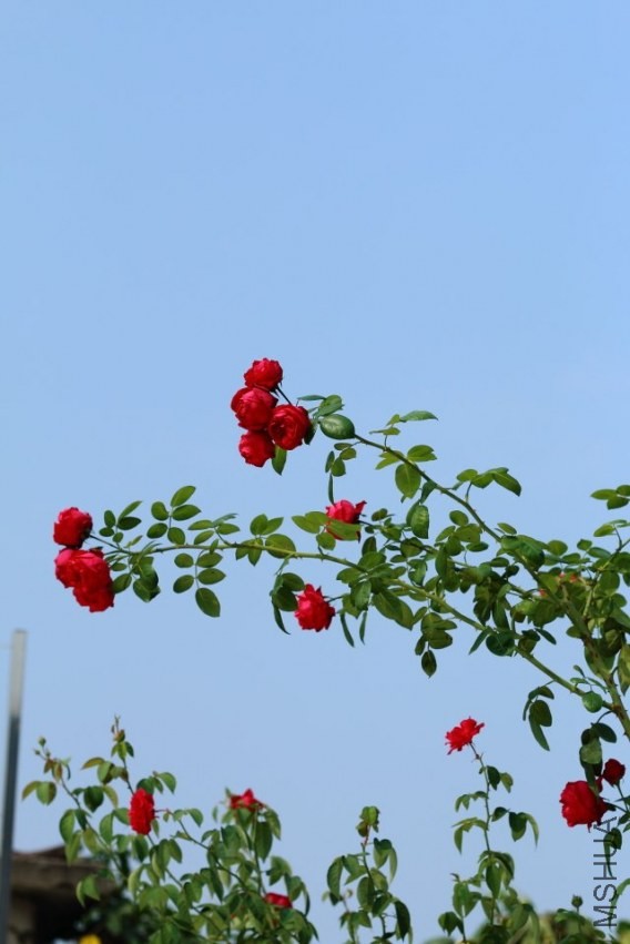 img_0476.jpg