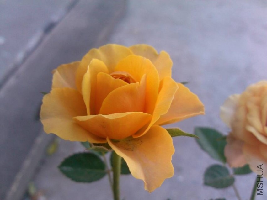 QQͼƬ20131004212244.jpg