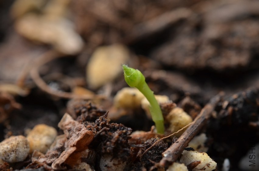 ������ܽ��20131002 001..JPG