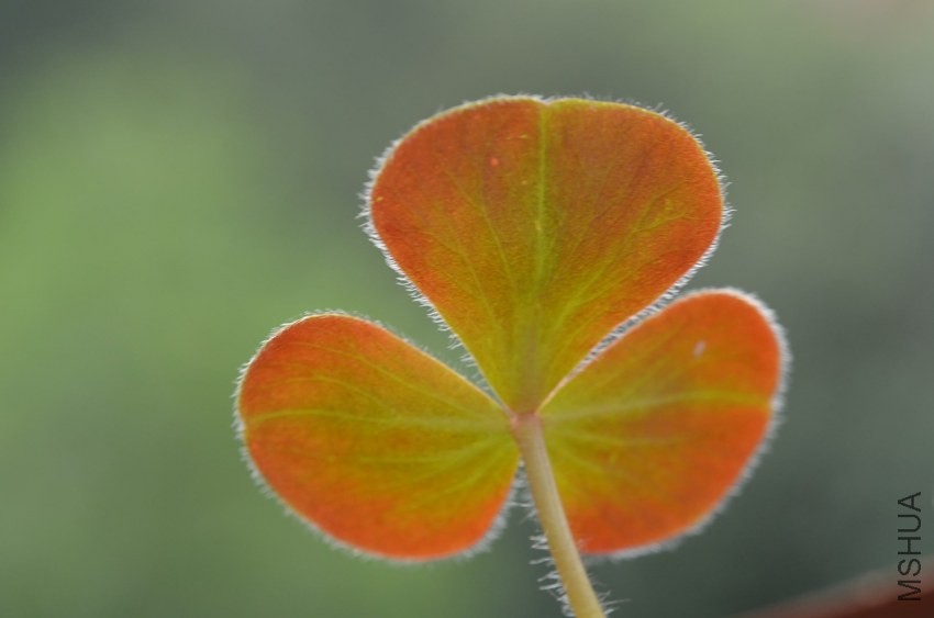 �����׻�20131002 015.JPG