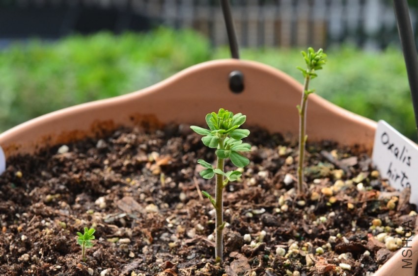 ����21031002 001.JPG