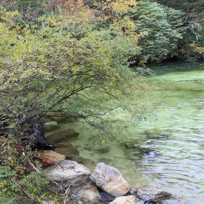 131003��ľ��롪���ǳ���ͼʽ (17).jpg