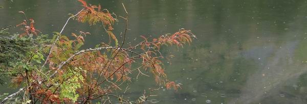 131003��ľ��롪���ǳ���ͼʽ (21).jpg