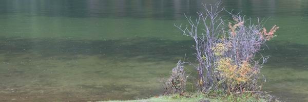 131003��ľ��롪���ǳ���ͼʽ (22).jpg