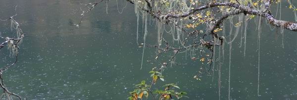 131003��ľ��롪���ǳ���ͼʽ (25).jpg