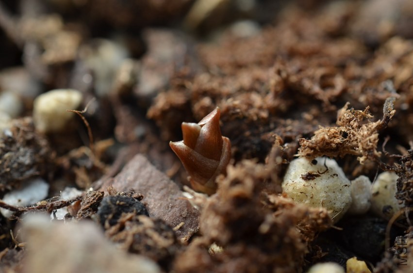 �׻�צ��20131002 002.JPG