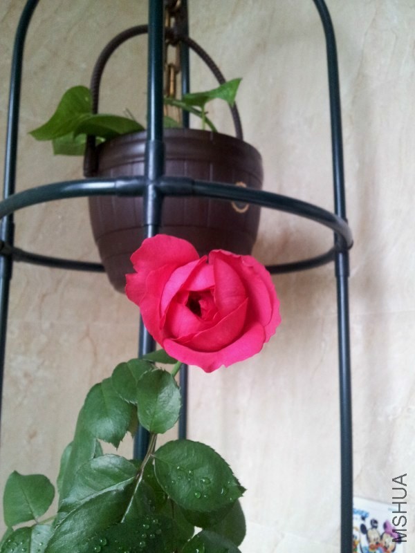 psb (9).jpg
