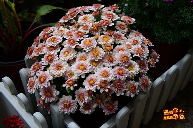 ��Ƭ 043_����.jpg