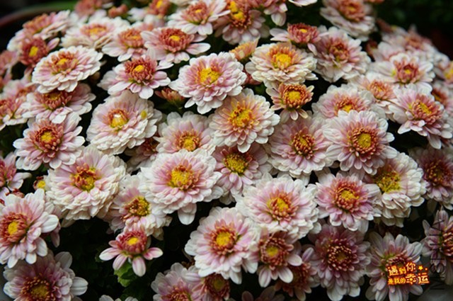 ��Ƭ 045_����.jpg