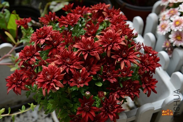 ��Ƭ 046_����.jpg