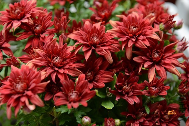 ��Ƭ 049_����.jpg