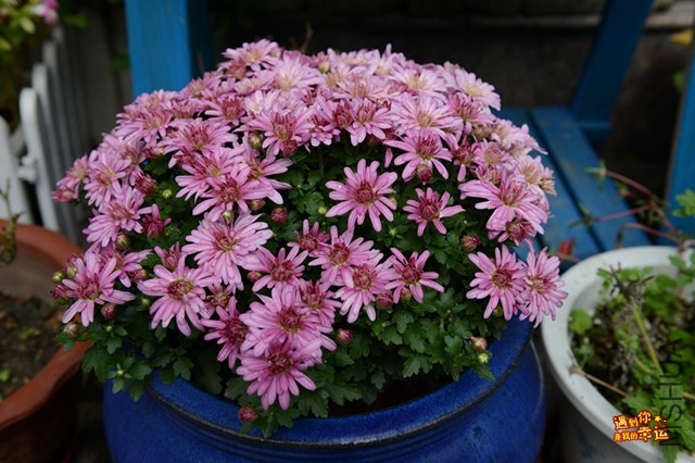 ��Ƭ 051_����.jpg