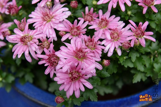 ��Ƭ 052_����.jpg