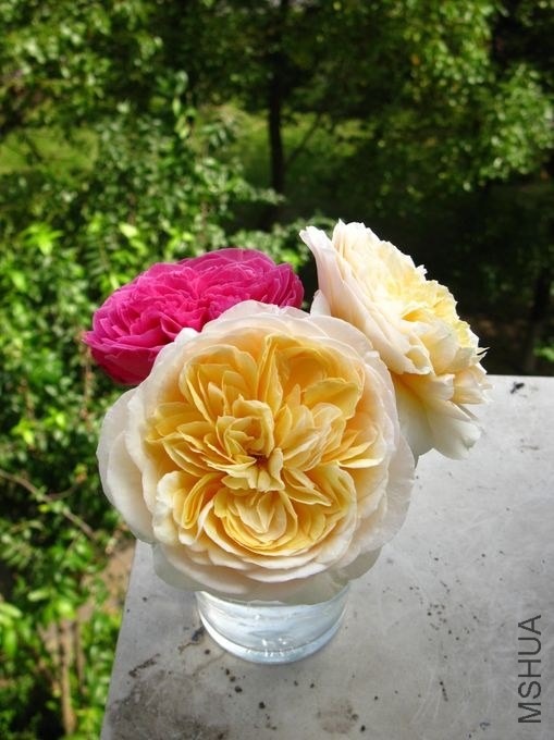 20130617145853ss.jpg
