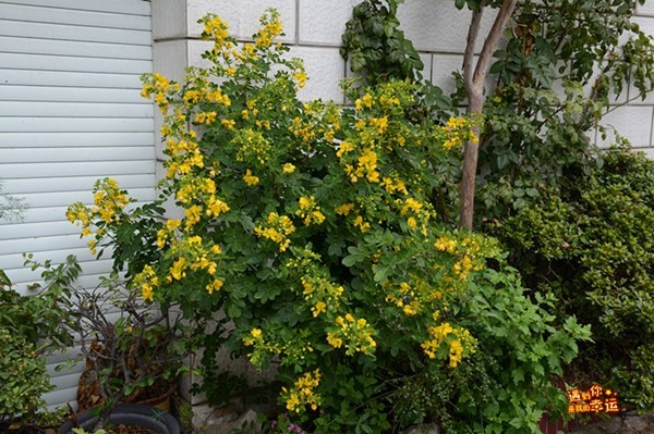 ��Ƭ 061_����.jpg