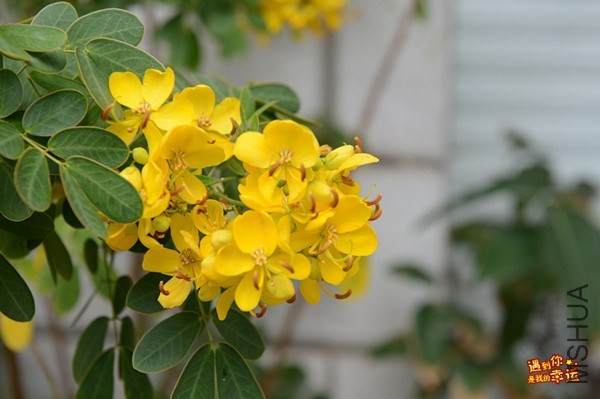 ��Ƭ 064_����.jpg