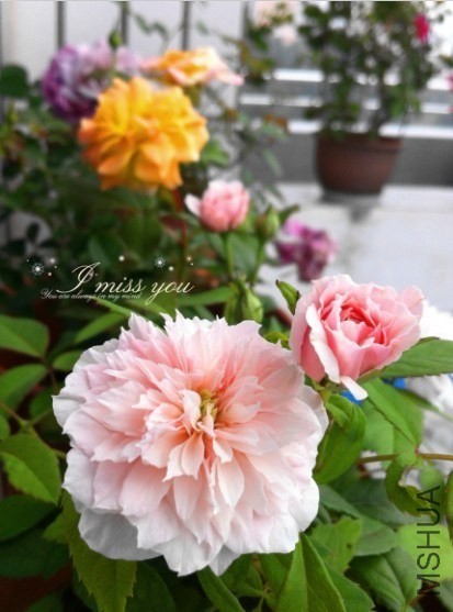 QQͼƬ20131005192741.jpg