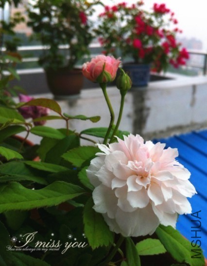 QQͼƬ20131005192811.jpg