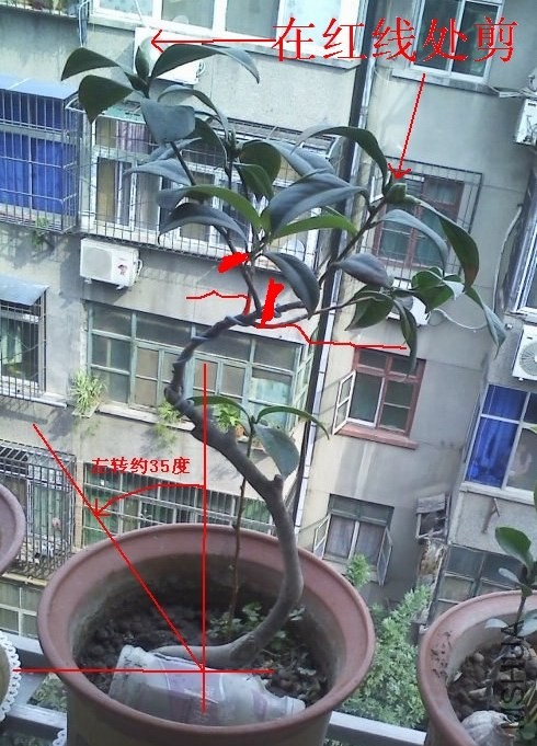 �軨�ظ�.jpg