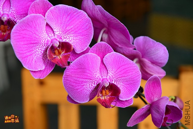 ��Ƭ 074_����.jpg