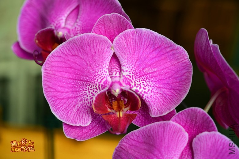 ��Ƭ 075_����.jpg