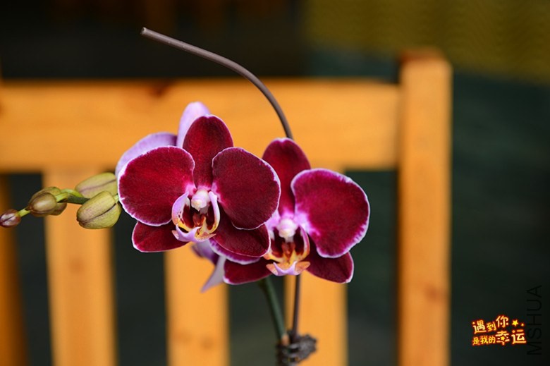 ��Ƭ 083_����.jpg