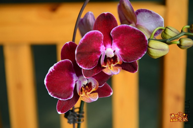 ��Ƭ 085_����.jpg