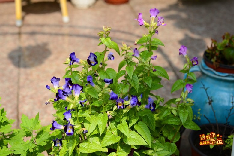 ��Ƭ 057_����.jpg