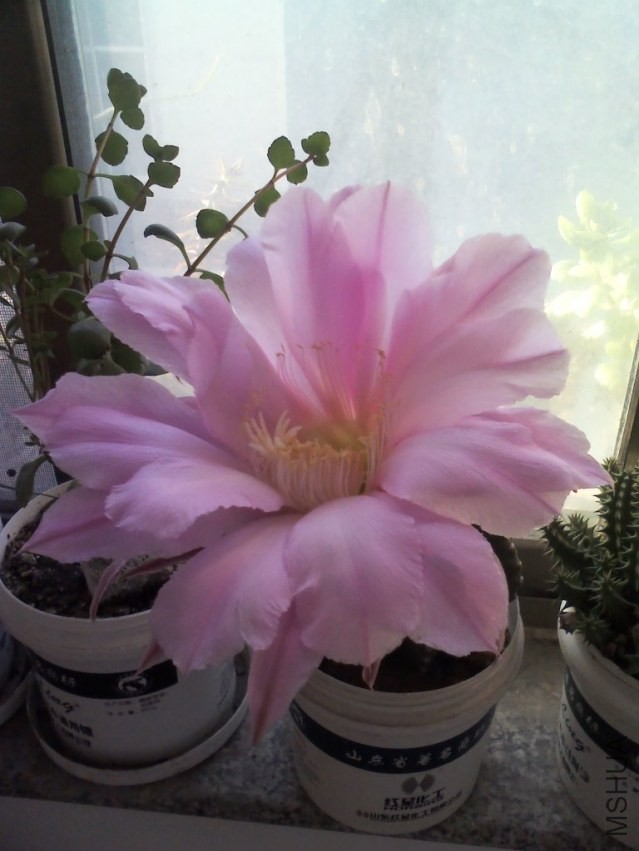 YP20131005073404.jpg
