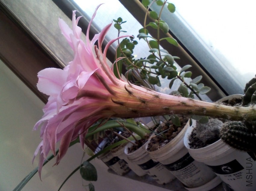 YP20131005073415.jpg
