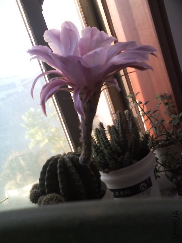 YP20131005073436.jpg