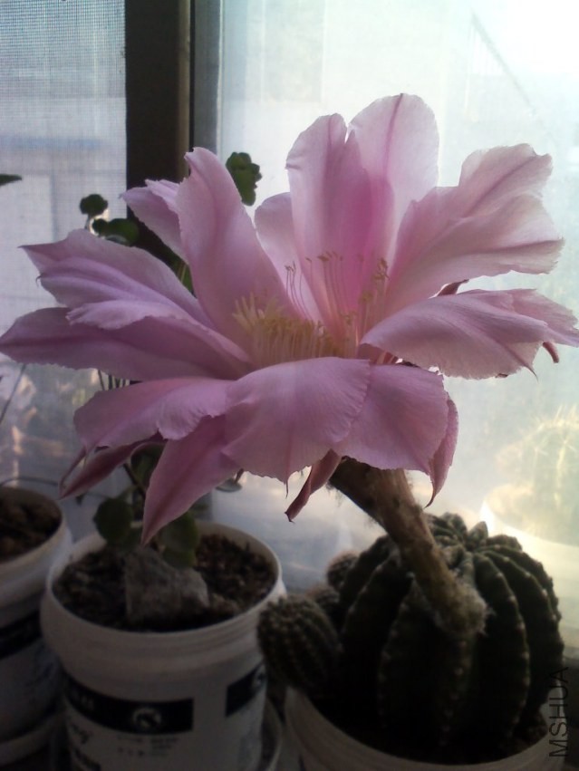 YP20131005073332.jpg