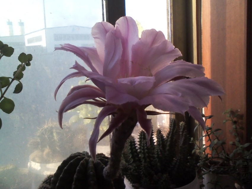 YP20131005073352.jpg
