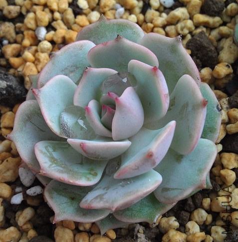 IMAG0506_����.jpg