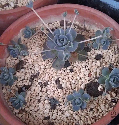 IMAG0301_����.jpg