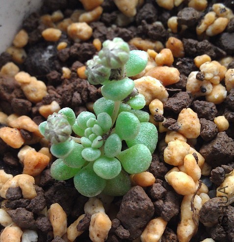 IMAG0456_����.jpg
