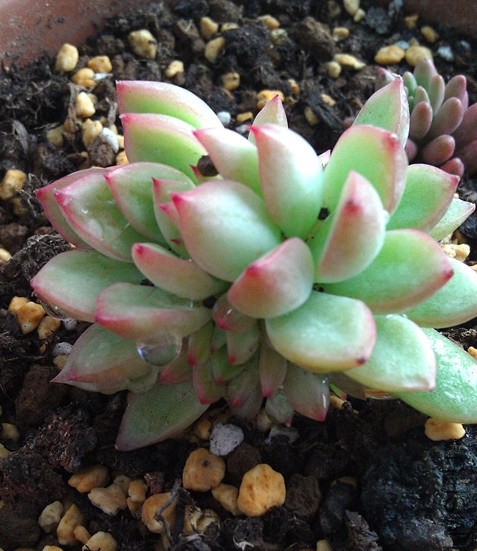 IMAG0484_����.jpg