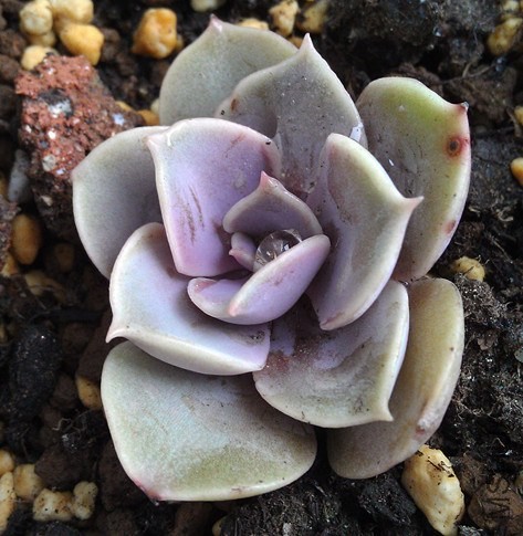 IMAG0485_����.jpg