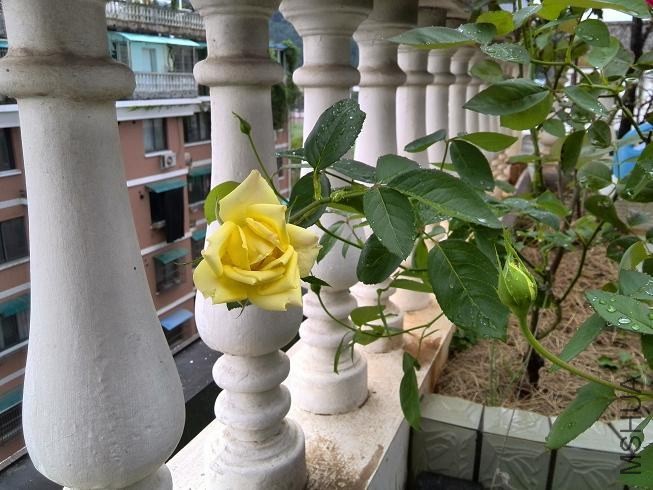 IMG_20131006_144511.jpg