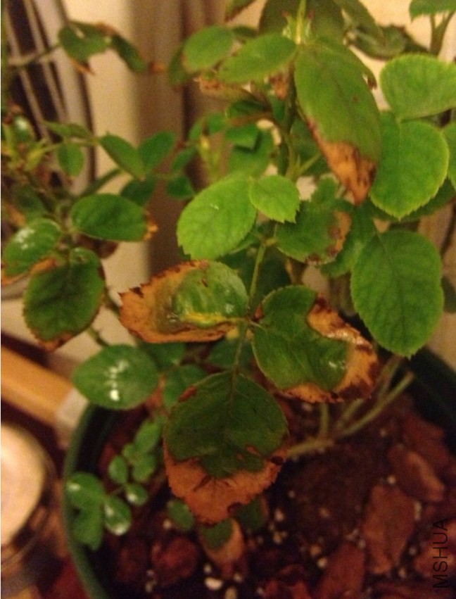 QQ��ͼ20131006214358.jpg