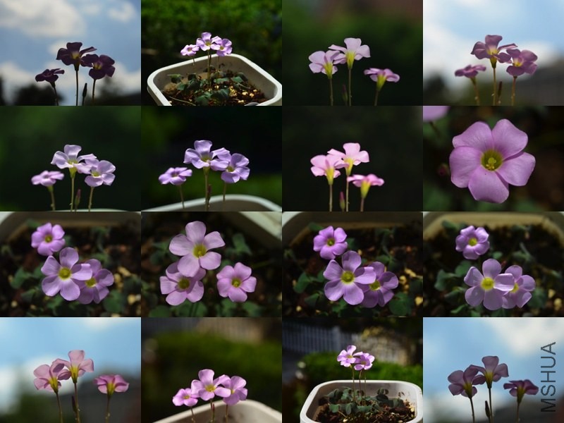 �ϻ�����20131004 001.jpg